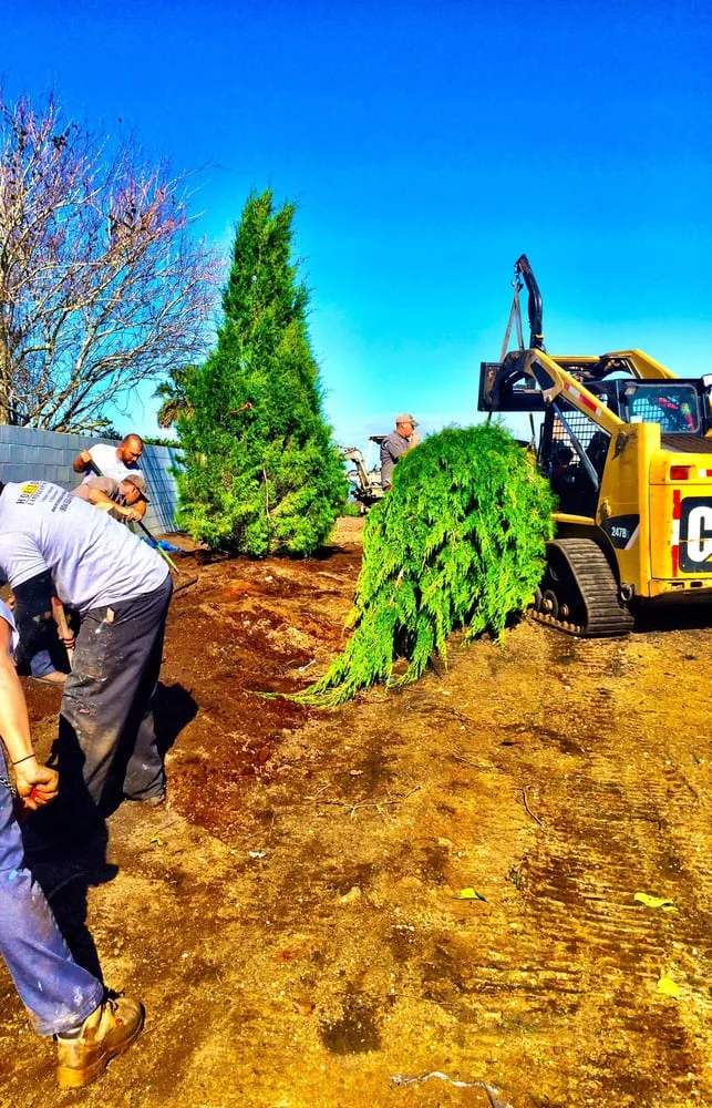 Trusted outdoor landscaping for outdoor upgrades in Jacksonville, FL by Horizon Landscaping