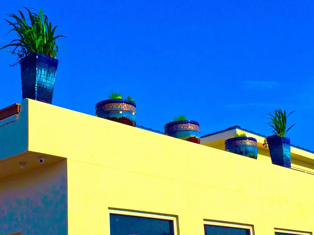 Local landscape design in Jacksonville, FL by Horizon Landscaping