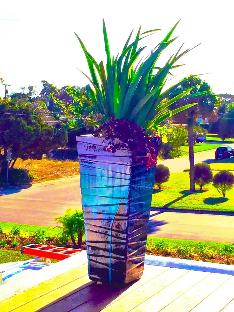 Professional yard cleanup service experts serving Jacksonville, FL - Horizon Landscaping