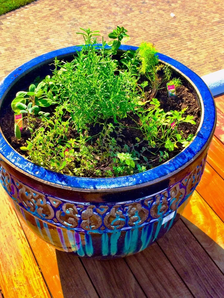 Top-rated lawn mowing service for year-round maintenance in Jacksonville, FL by Horizon Landscaping