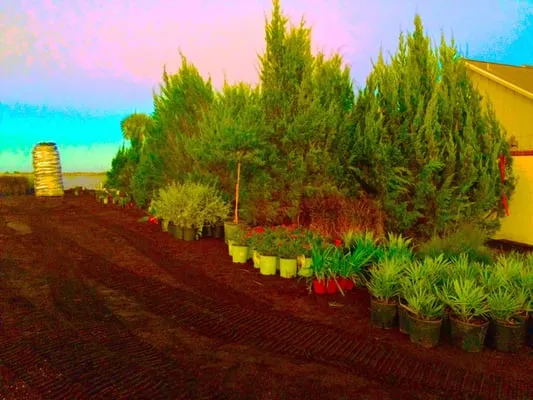 Horizon Landscaping Logo