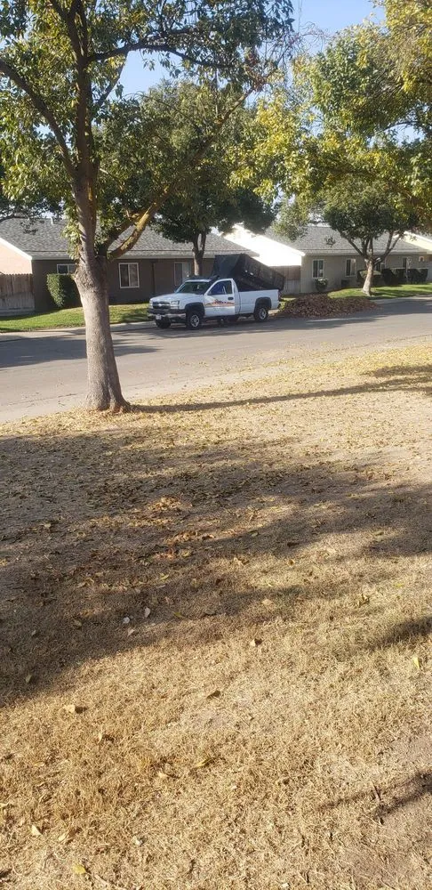 Affordable landscape installation for homes in Modesto, CA by Horizon Landscaping