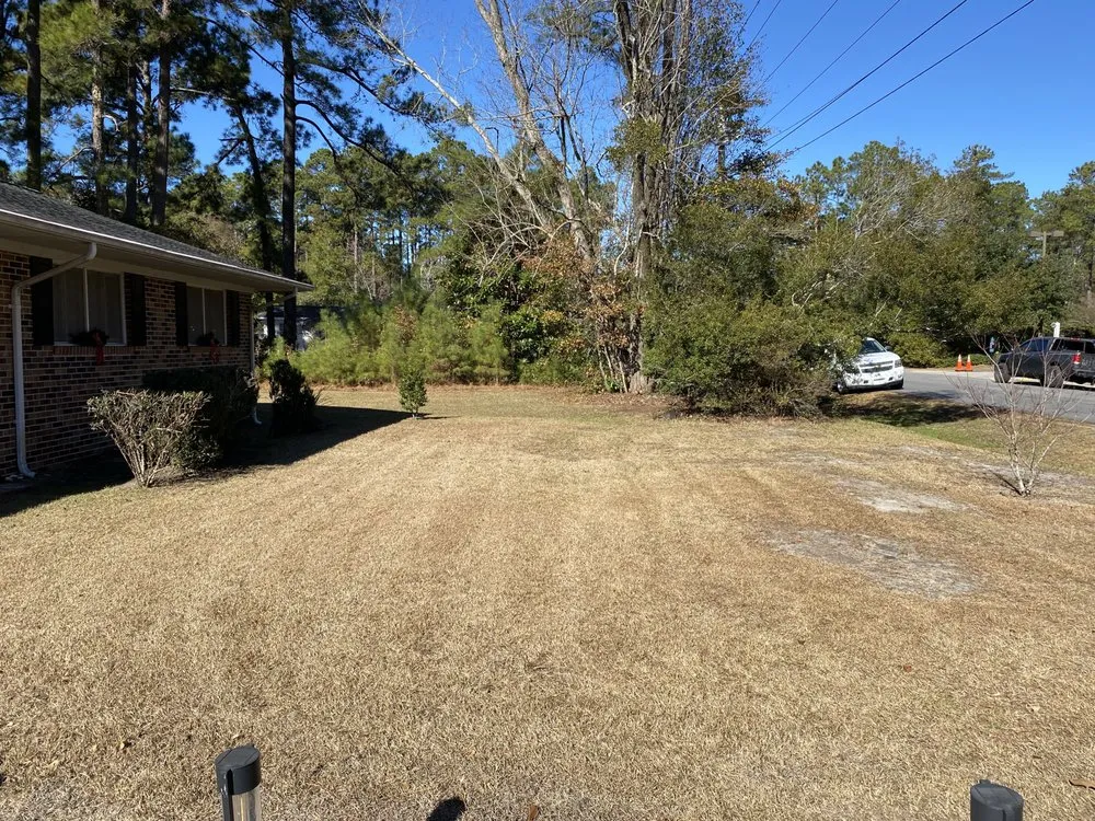 Affordable garden landscaping in Myrtle Beach, SC by Horizon Landscaping