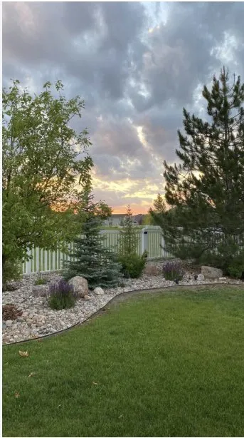 Trusted yard cleanup service near you across San Jose, CA - Horizon Landscaping