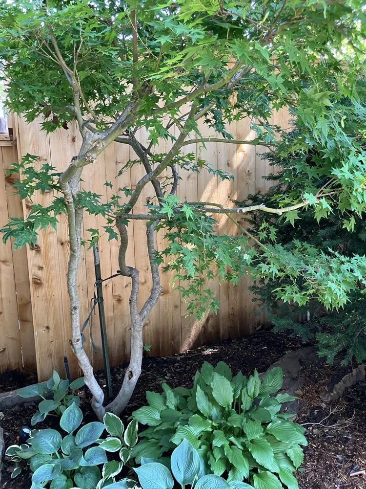 Affordable outdoor landscaping near you in Tulsa, OK by Horizon Lawn & Landscape