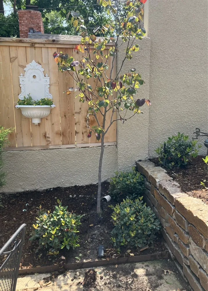 Custom outdoor landscaping for year-round maintenance in Tulsa, OK by Horizon Lawn & Landscape