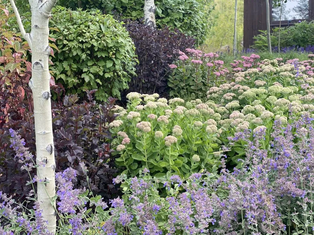 Professional landscape design for residential properties across Telluride, CO - Horizon Maintenance, LLC