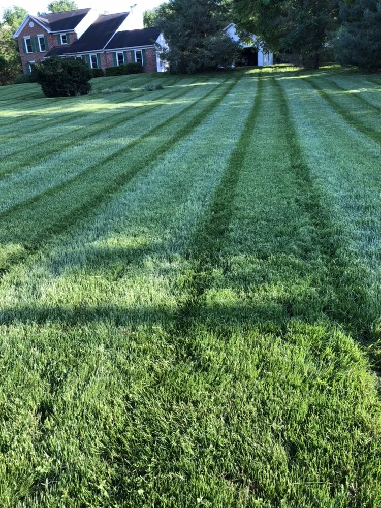 Reliable yard maintenance for beautiful yards across Hagerstown, MD - Horizon Outdoor Services