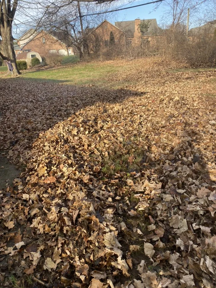 Affordable garden landscaping in Hagerstown, MD - Horizon Outdoor Services