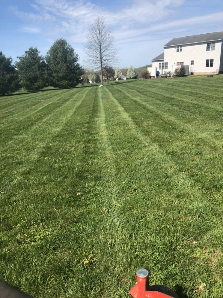 Affordable landscape installation in Hagerstown, MD by Horizon Outdoor Services