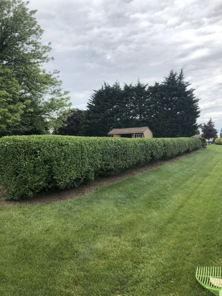 Trusted landscape installation experts serving Hagerstown, MD - Horizon Outdoor Services