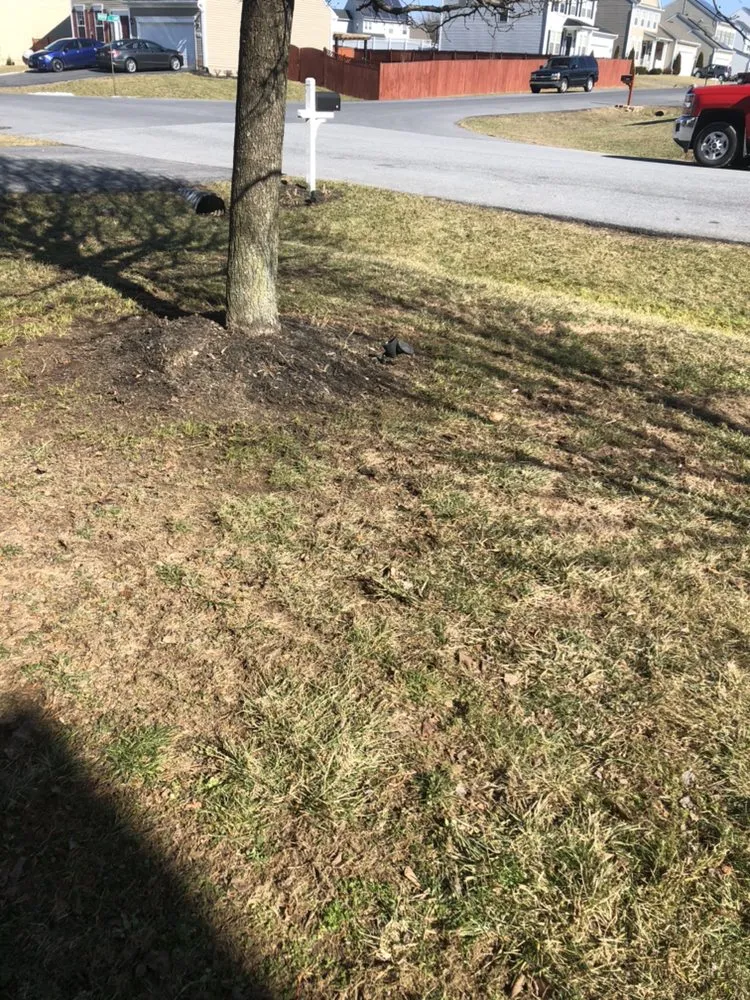 Reliable lawn care service in Hagerstown, MD - Horizon Outdoor Services