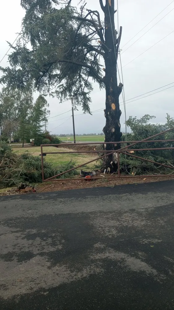 Custom outdoor landscaping for outdoor upgrades in Olivehurst, CA by Horizon Tree Service
