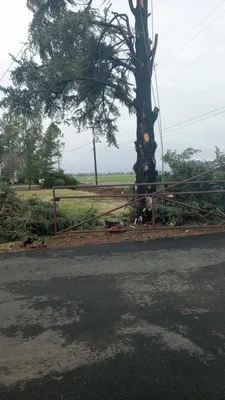 Horizon Tree Service