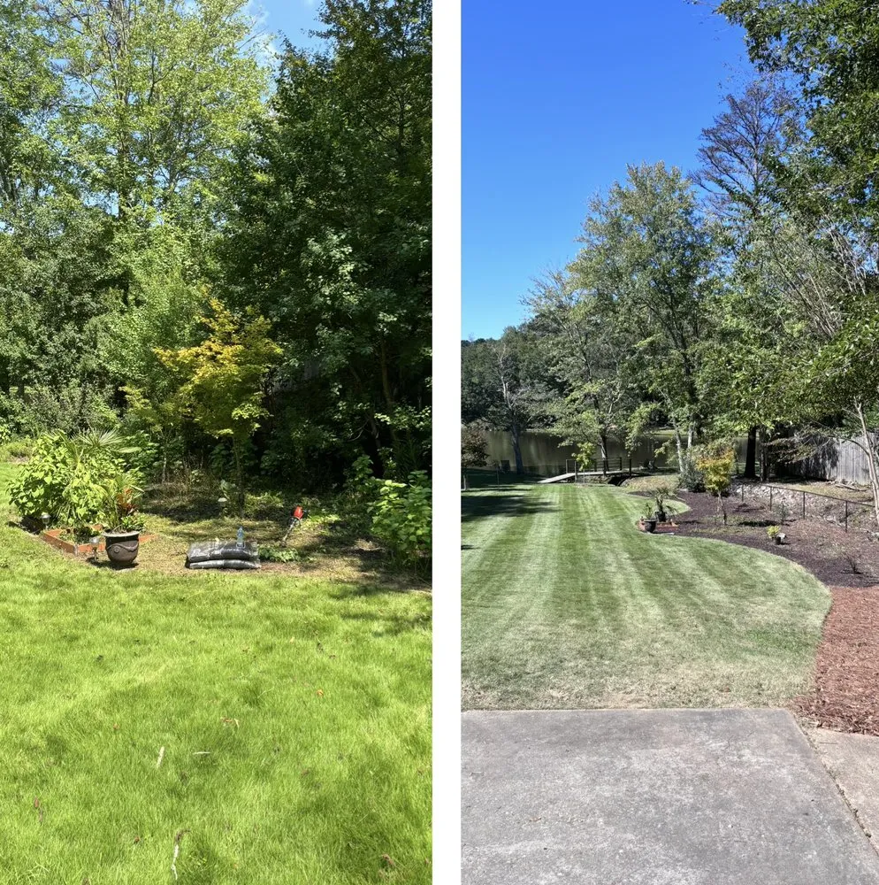 Custom yard maintenance in Dadeville, AL - Horizons Edge