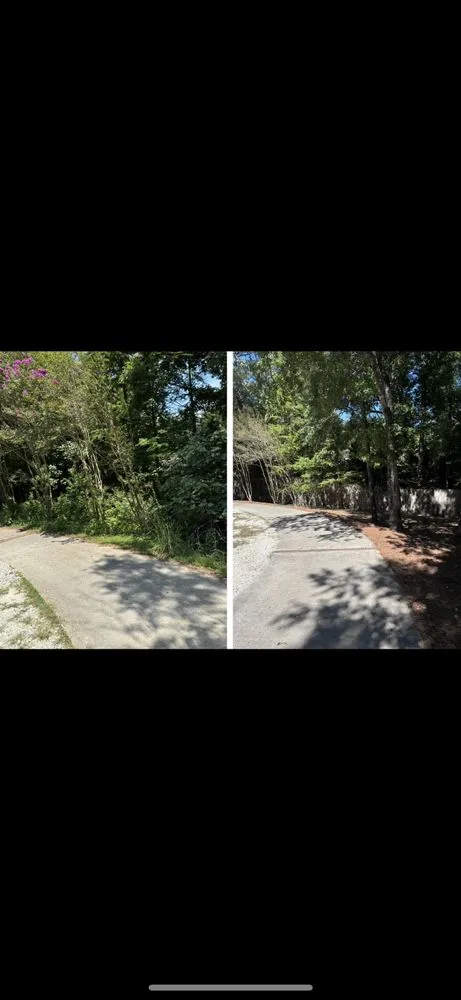 Affordable outdoor landscaping in Dadeville, AL - Horizons Edge