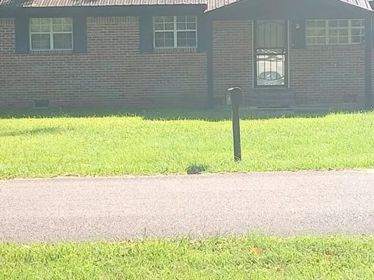 Horn Landscaping