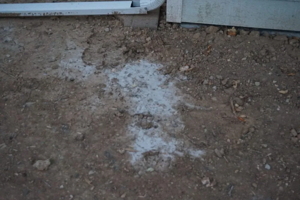 Trusted outdoor landscaping in Windsor, CO by Hornback Landscaping and Junk Removal