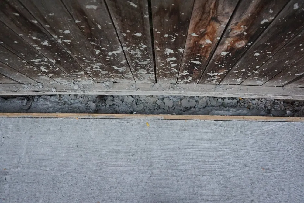 Affordable landscape installation in Windsor, CO by Hornback Landscaping and Junk Removal