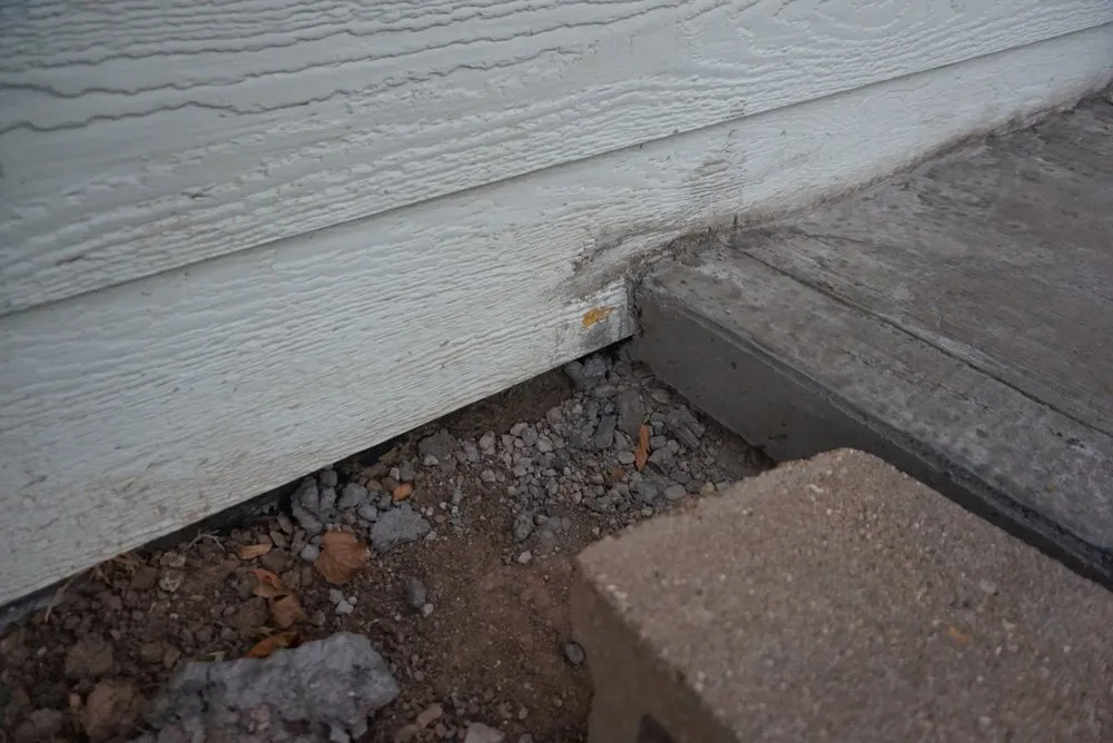 Top-rated landscaping services near you in Windsor, CO by Hornback Landscaping and Junk Removal