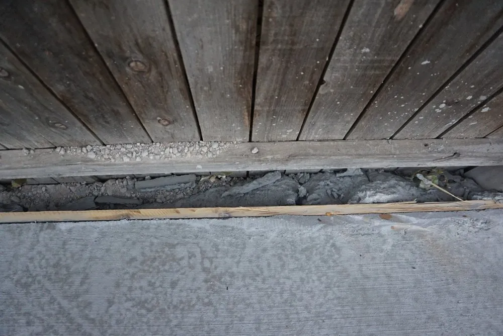 Expert residential landscaping in Windsor, CO - Hornback Landscaping and Junk Removal