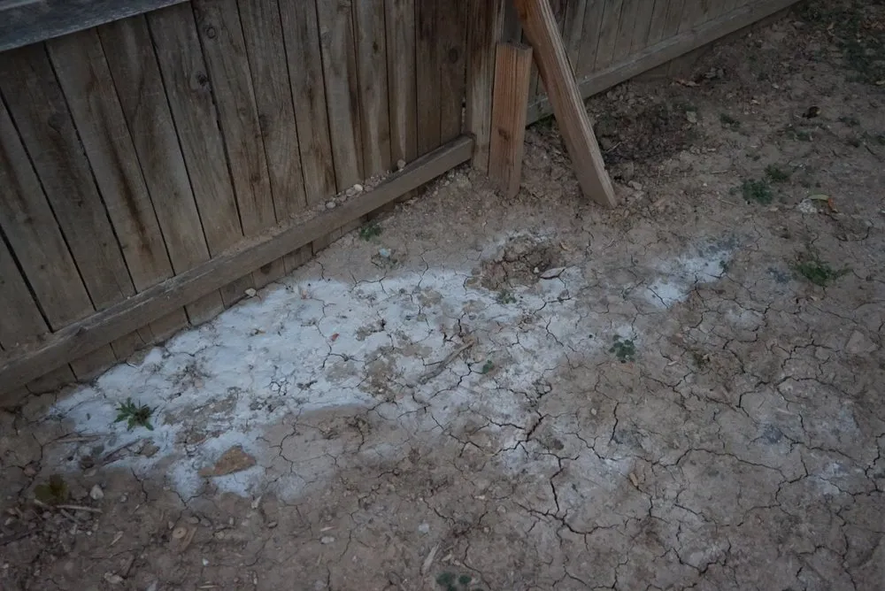 Reliable yard cleanup service for homes in Windsor, CO by Hornback Landscaping and Junk Removal