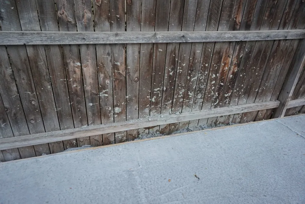 Local landscape installation experts serving Windsor, CO - Hornback Landscaping and Junk Removal