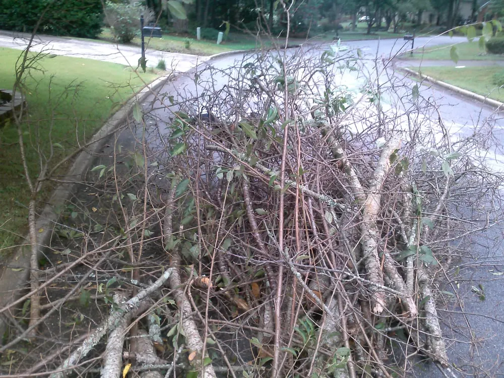 Professional garden landscaping for homes across Lilburn, GA - Horne Landscape