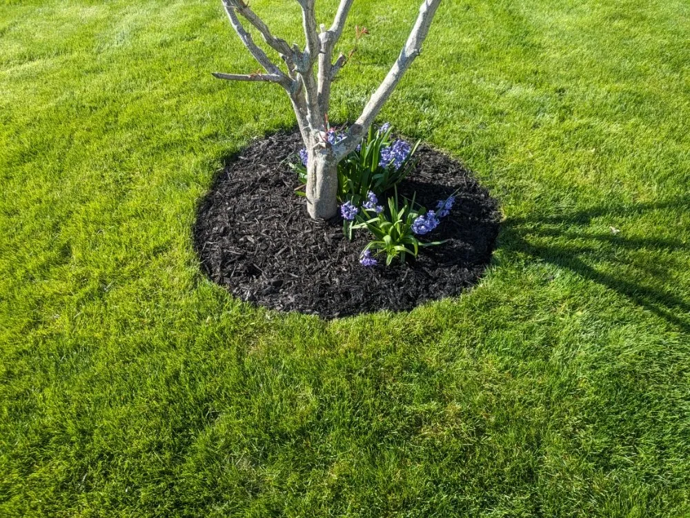 Local lawn mowing service in Huron, OH by Hornes mowing and landscaping