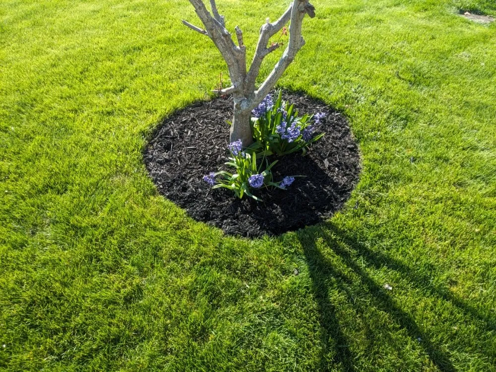 Affordable landscaping services in Huron, OH by Hornes mowing and landscaping