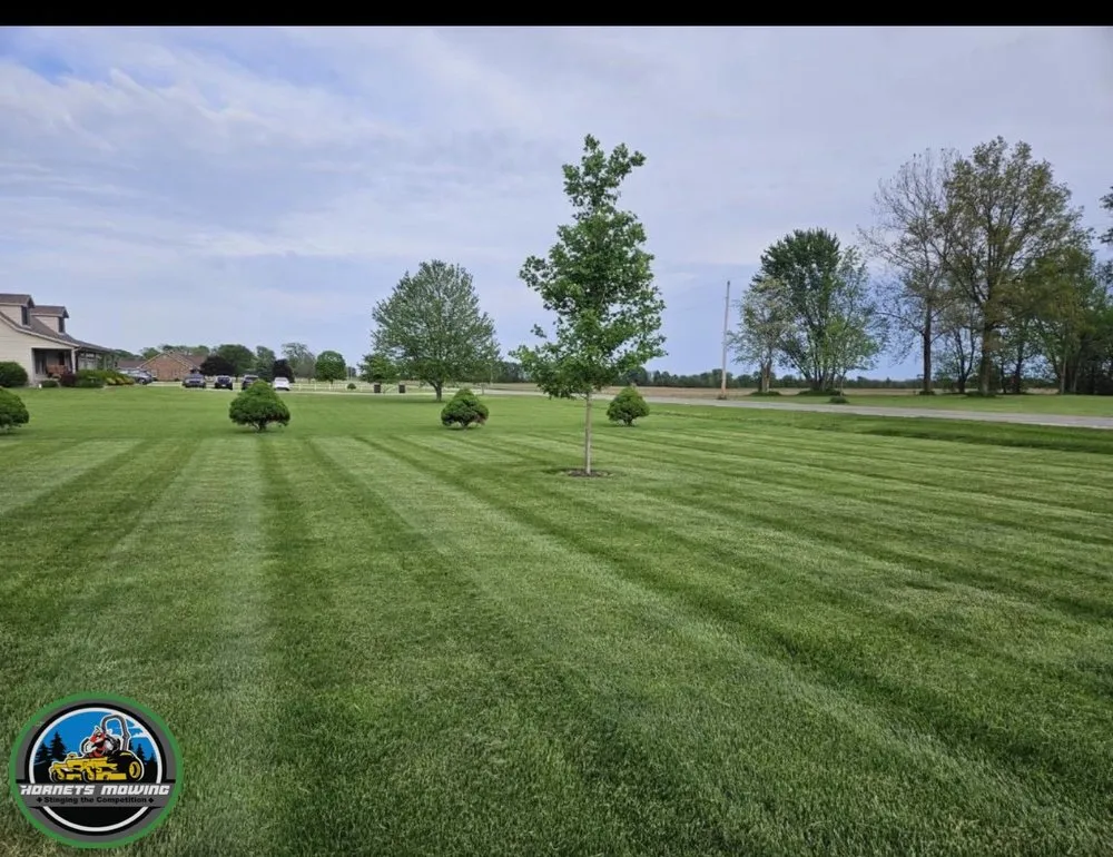 Professional yard cleanup service for outdoor upgrades in Rossville, IN by Hornets Mowing