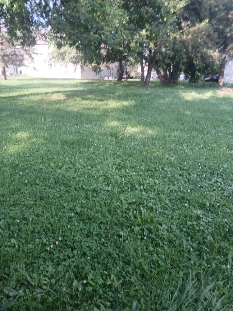 Reliable residential landscaping experts serving Saint Johns, MI - Horning's Lawncare