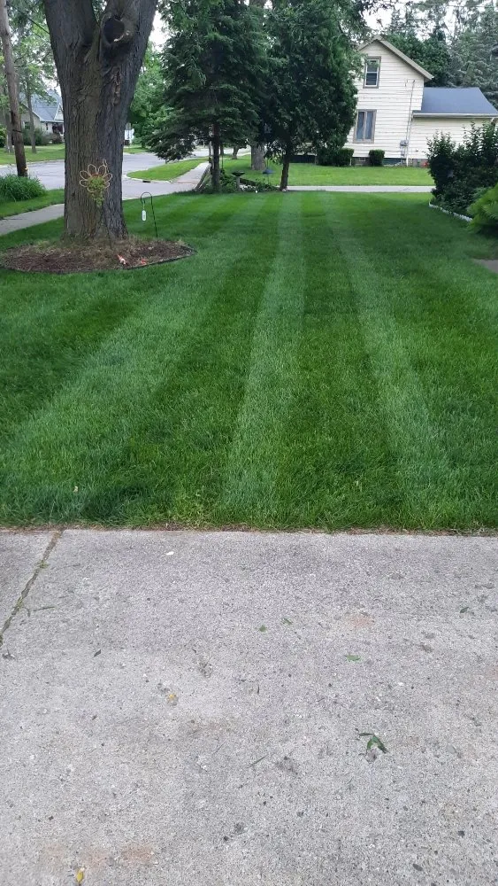 Affordable landscape design for outdoor upgrades across Saint Johns, MI - Horning's Lawncare