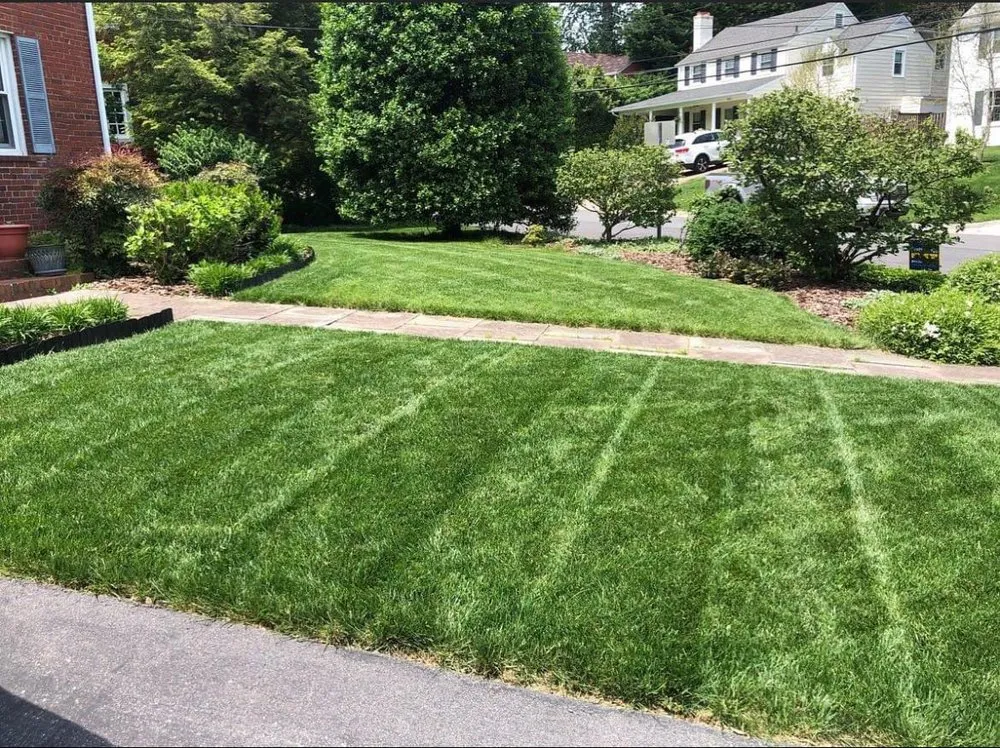 Local residential landscaping in Lexington-Fayette, KY by Horse and Hedge Landscaping