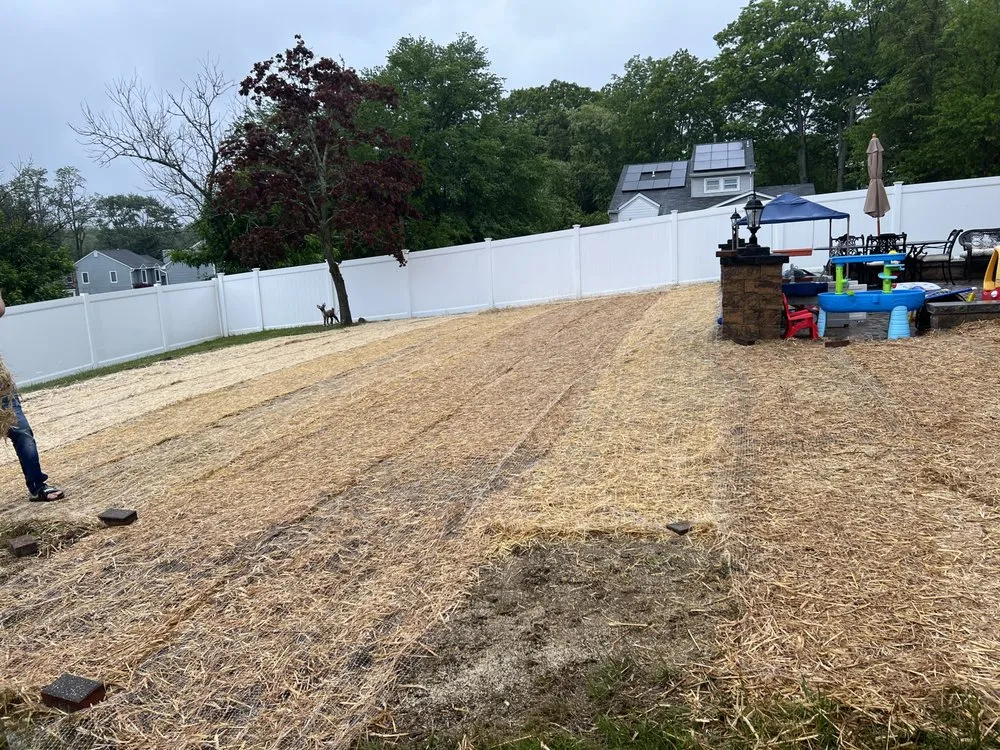 Affordable lawn mowing service in South River, NJ - Horse Landscaping Service