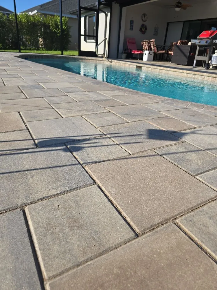 Local yard maintenance experts serving Cape Coral, FL - Horseman's Landscape