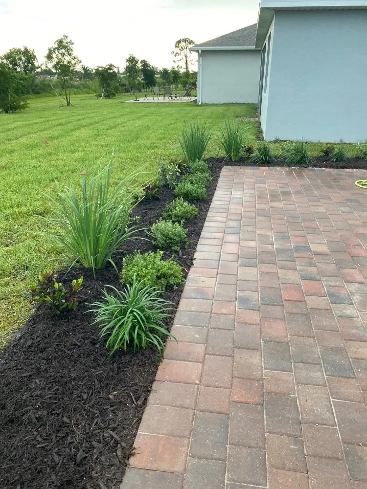 Trusted lawn care service for beautiful yards in Cape Coral, FL by Horseman's Landscape