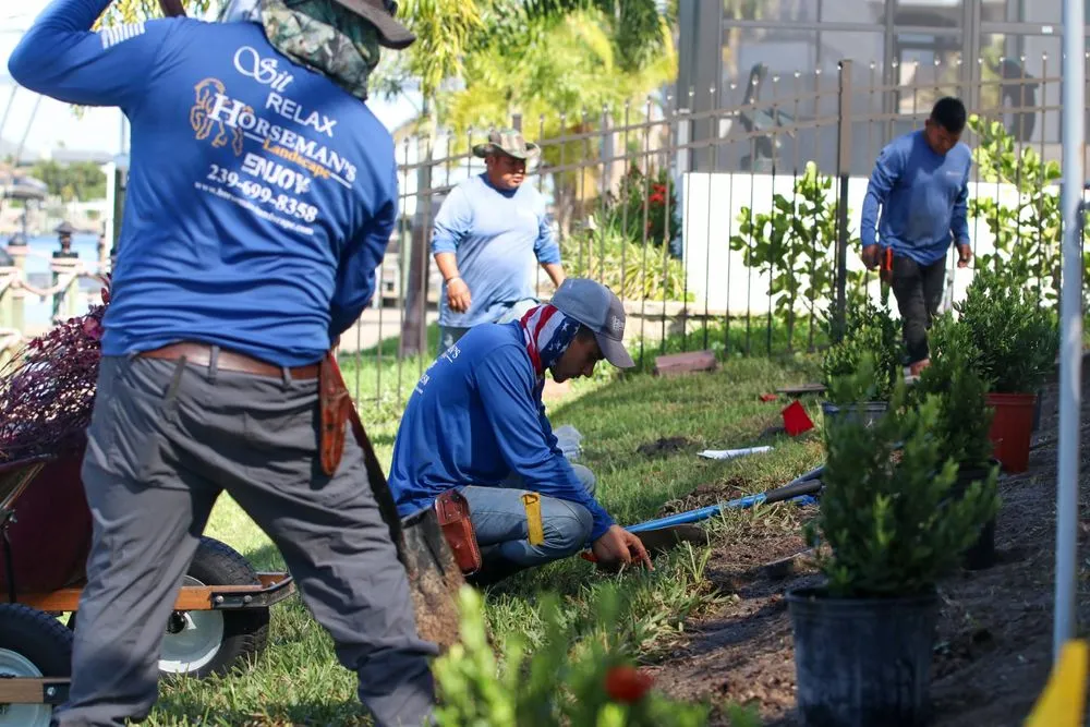 Professional yard cleanup service for residential properties across Cape Coral, FL - Horseman's Landscape