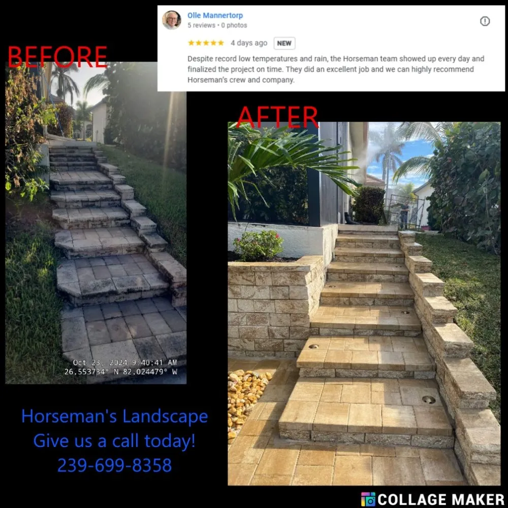 Reliable yard cleanup service experts serving Cape Coral, FL - Horseman's Landscape
