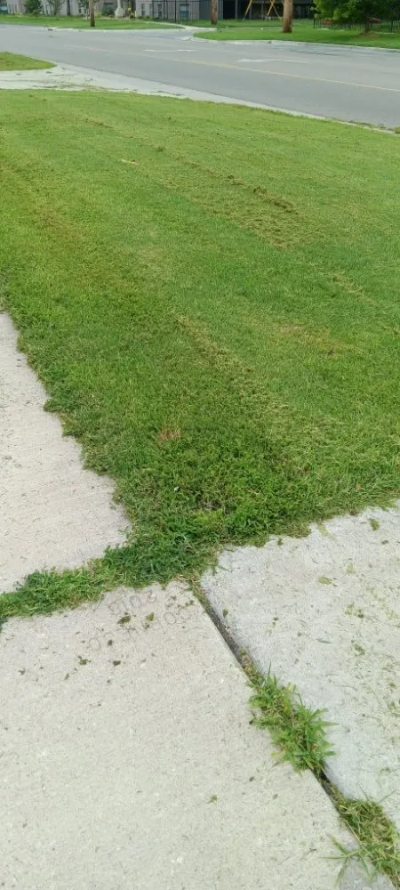 Top-rated garden landscaping near you across Wichita, KS - Horses Lawn Mowing