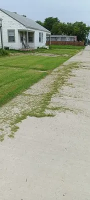 Horses Lawn Mowing Logo