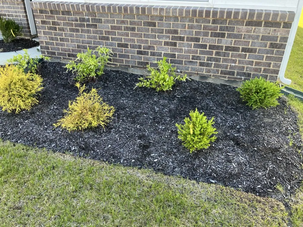 Custom lawn mowing service experts serving Noblesville, IN - Horseshoe Lawn and Pool Services