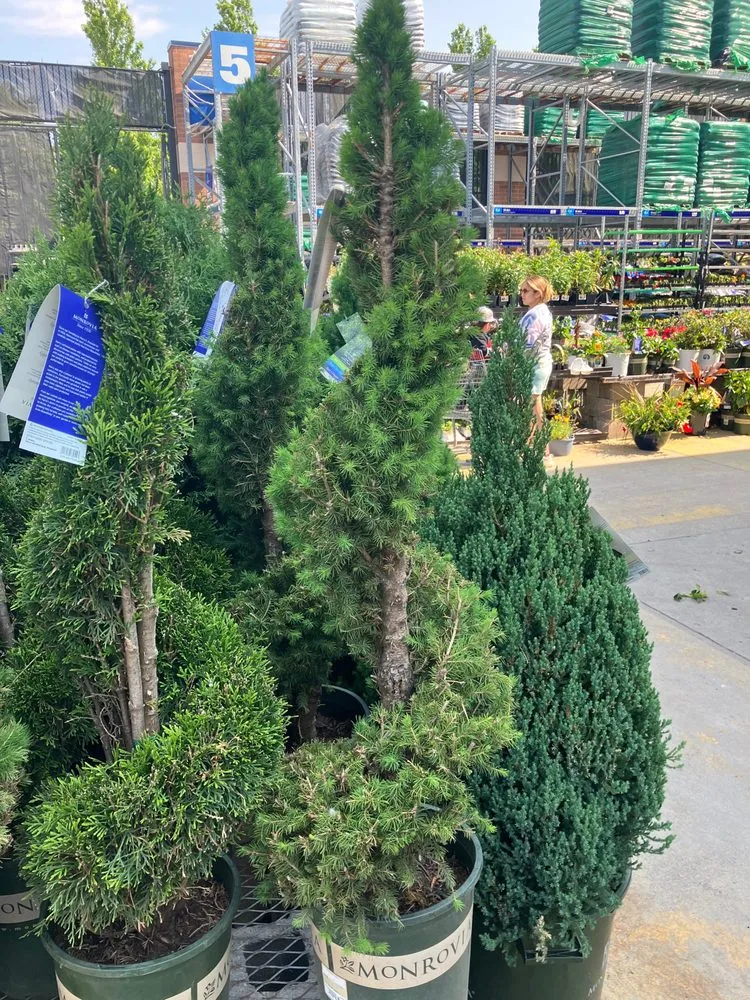 Professional garden landscaping experts serving Noblesville, IN - Horseshoe Lawn and Pool Services