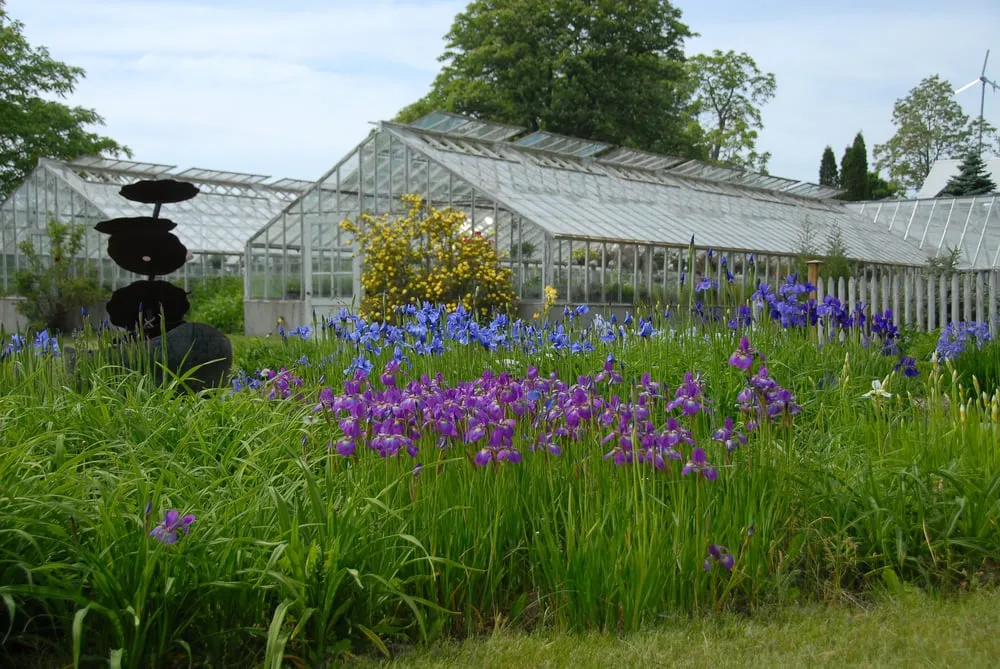 Top-rated lawn care service for beautiful yards in Charlotte, VT by Horsford Gardens & Nursery