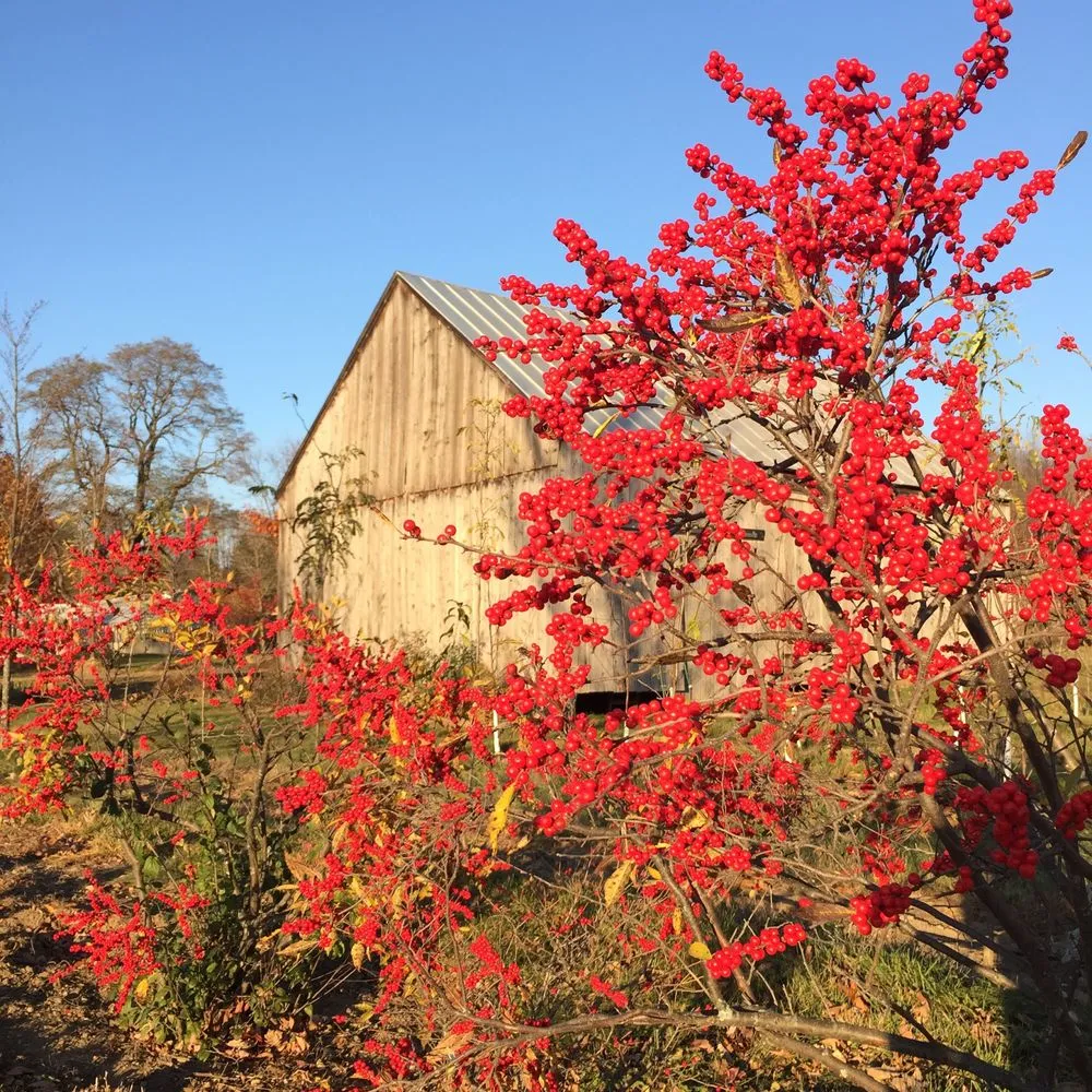 Affordable yard cleanup service experts serving Charlotte, VT - Horsford Gardens & Nursery