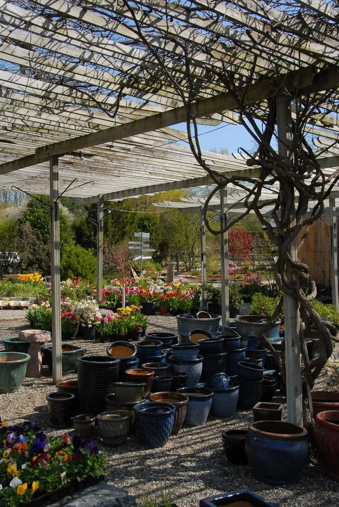 Top-rated yard cleanup service experts serving Charlotte, VT - Horsford Gardens & Nursery