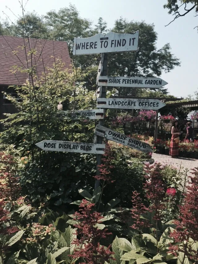 Trusted outdoor landscaping for homes in Charlotte, VT by Horsford Gardens & Nursery