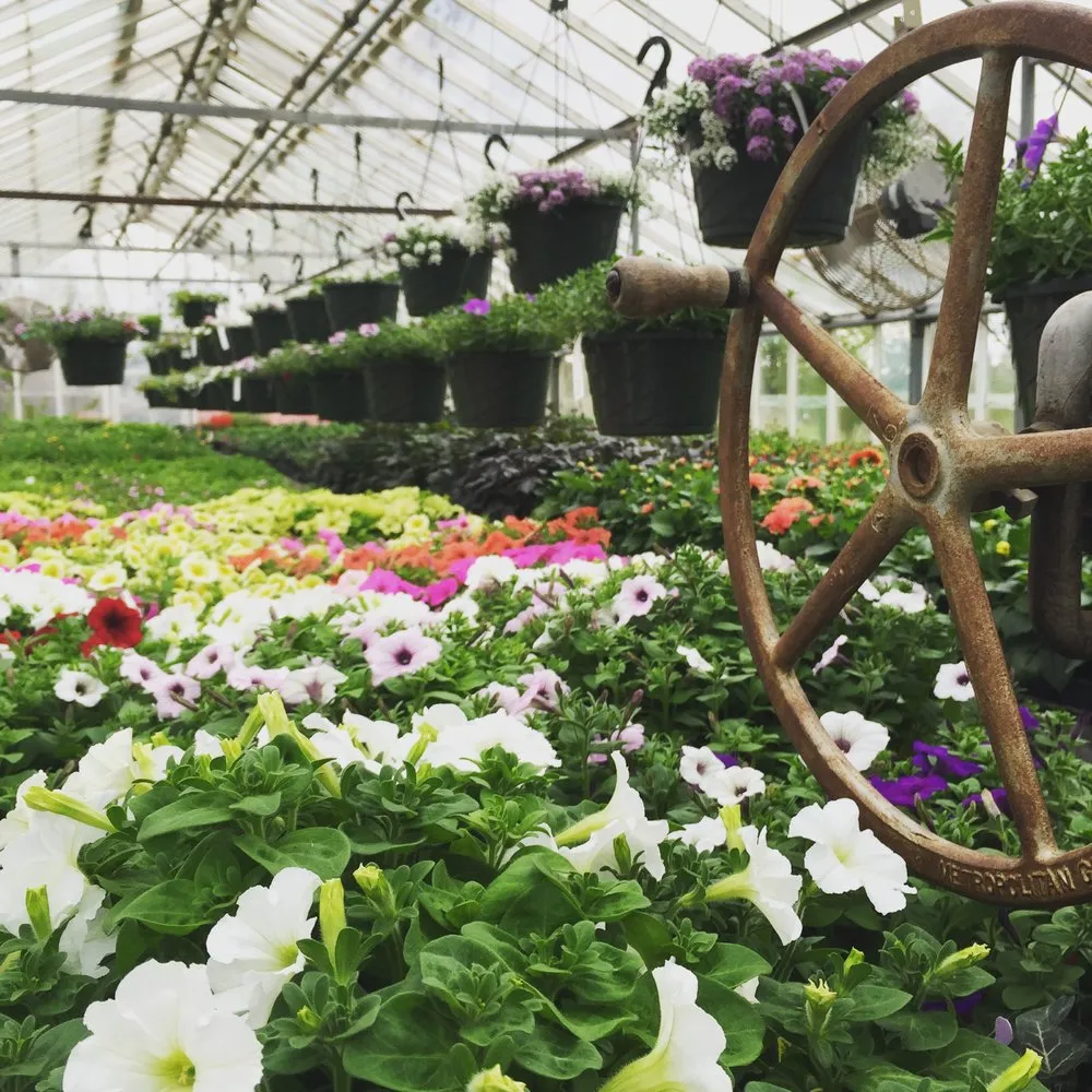 Affordable landscape design in Charlotte, VT - Horsford Gardens & Nursery