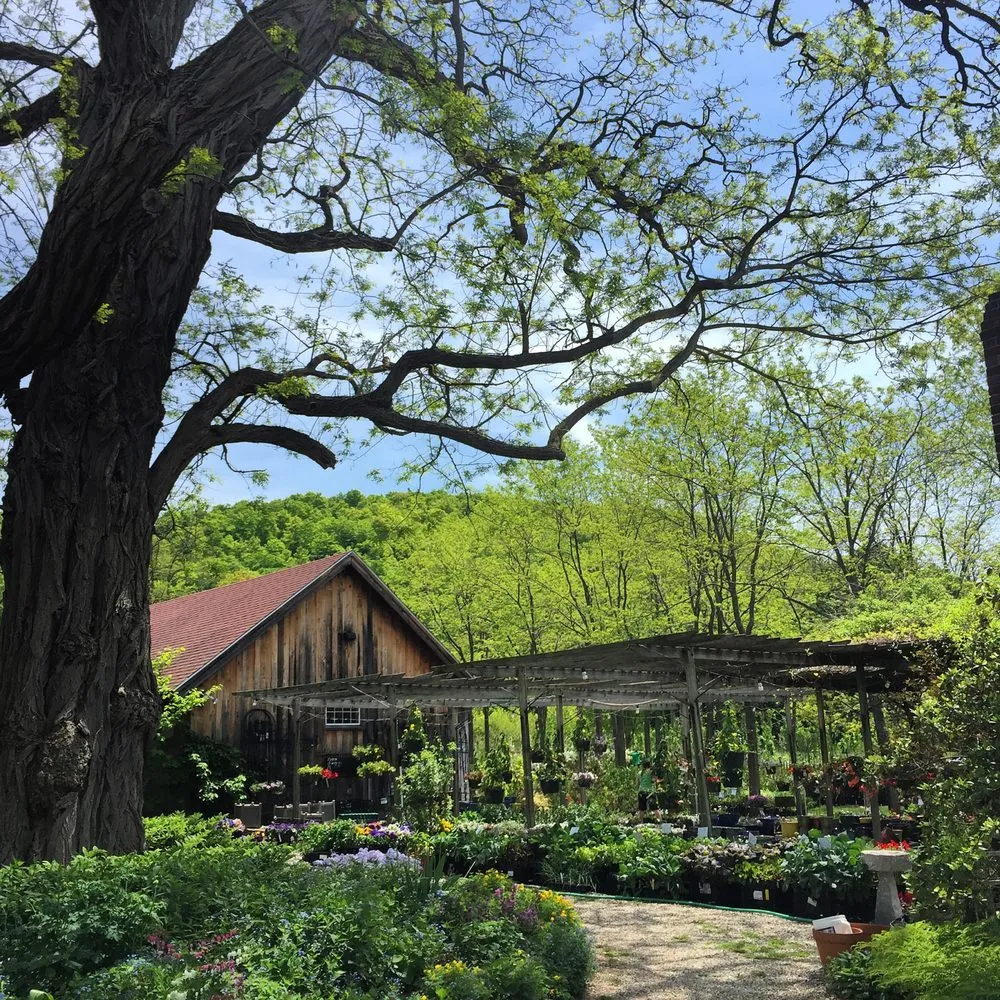 Affordable lawn mowing service in Charlotte, VT - Horsford Gardens & Nursery