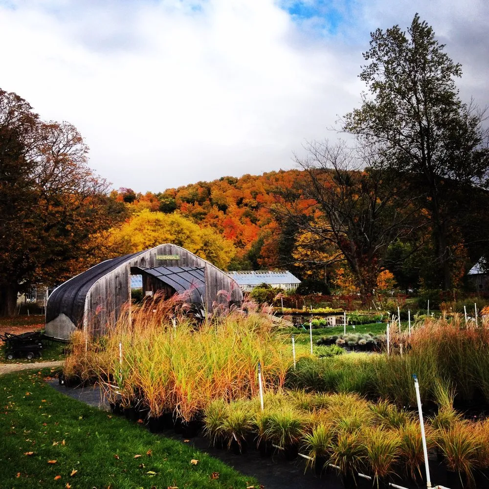 Trusted yard maintenance in Charlotte, VT - Horsford Gardens & Nursery